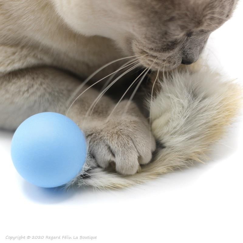 Jouet pour chat Pong Fur
