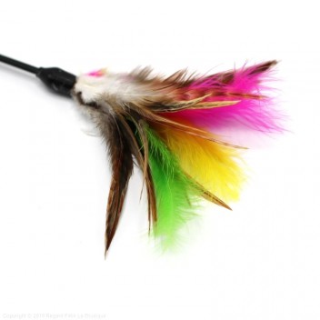 Plumeau pour chat Two Plumes