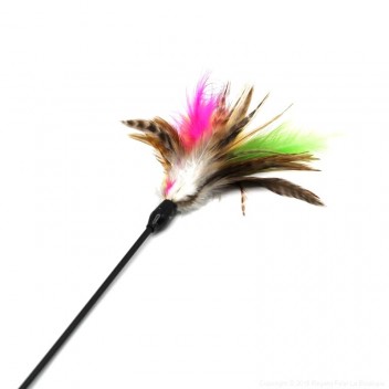 Plumeau pour chat Two Plumes