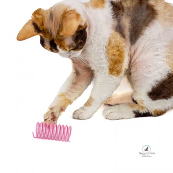 Jouet ressort spirale pour chat
