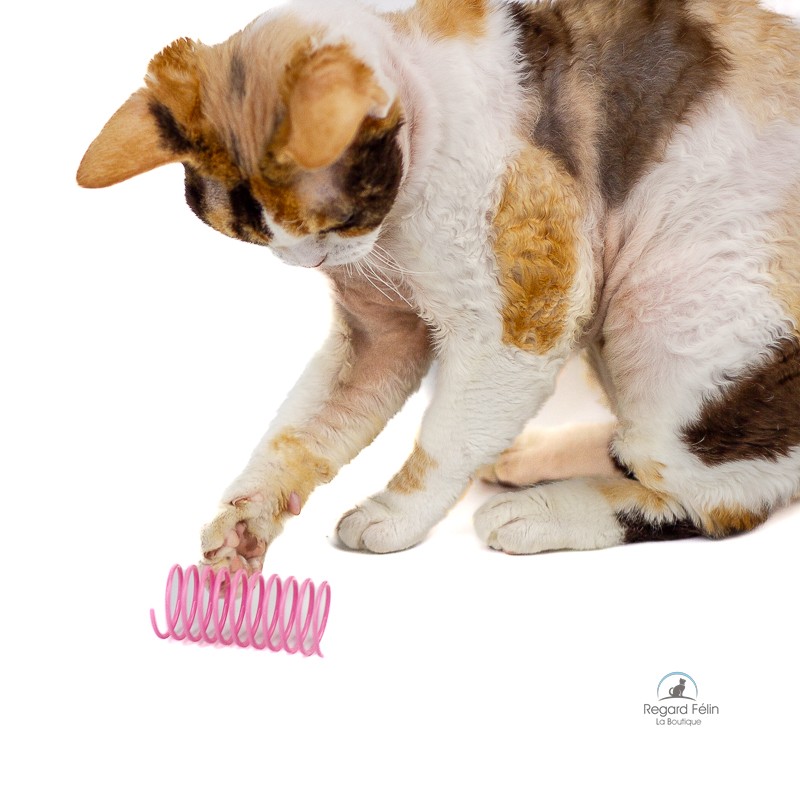Jouet ressort spirale pour chat