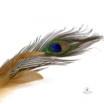 Jouet pour chat matatabi et plumes