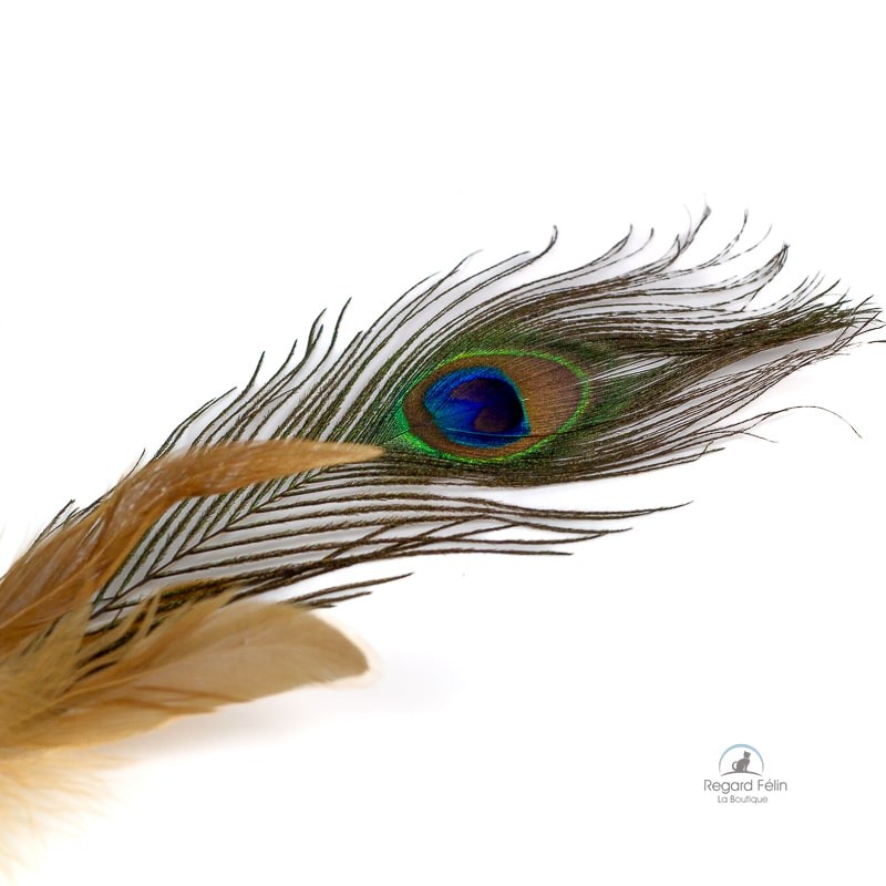 Jouet pour chat matatabi et plumes