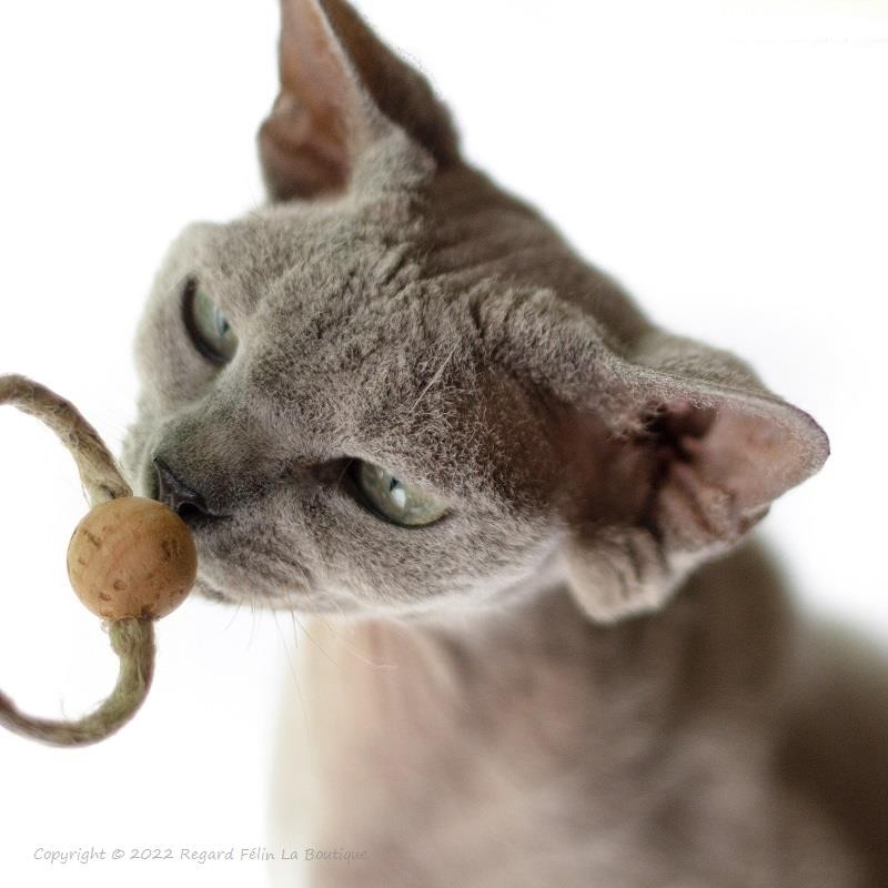 Jouet pour chat en liège et chanvre