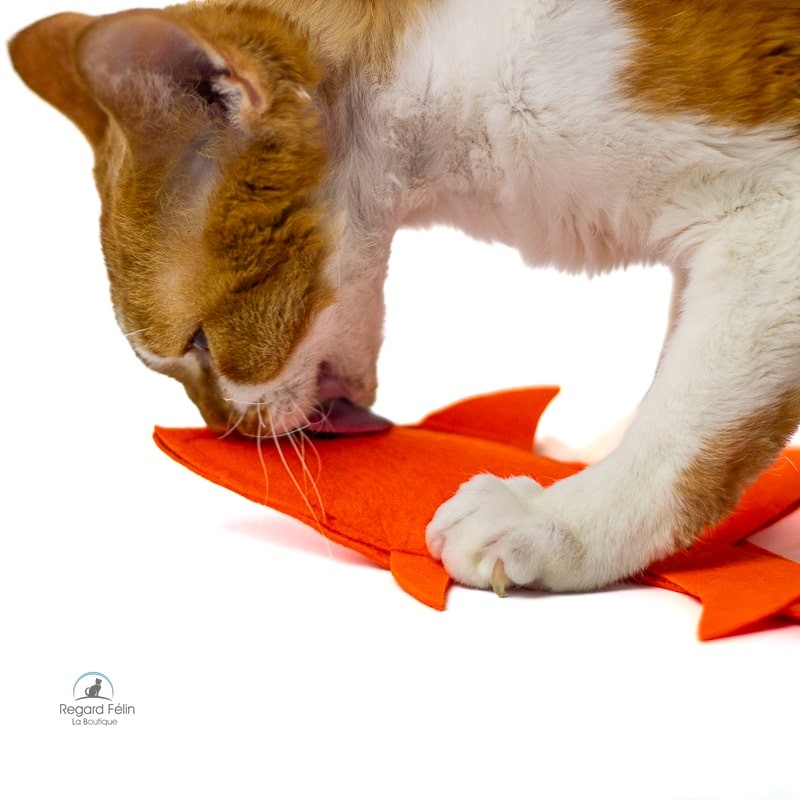 Jouet poisson cataire pour chat et chaton