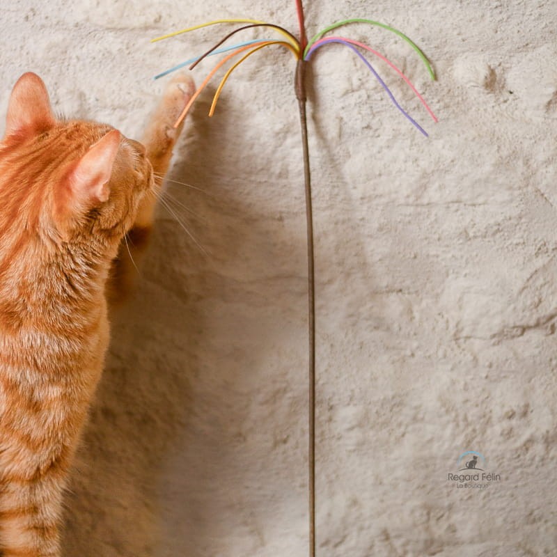 Plumeau pour chat multicolore suédine Profeline