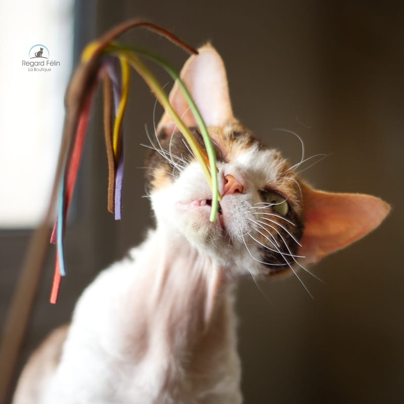 Plumeau pour chat multicolore suédine Profeline