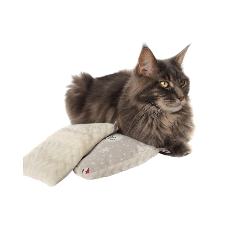 Bouillote pour chat La Gabeline
