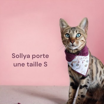Bandana bavoir pour chat La Gabeline