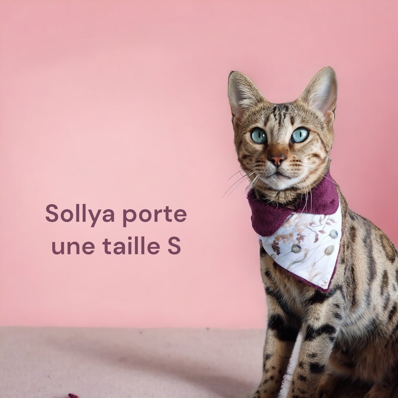 Bandana bavoir pour chat La Gabeline