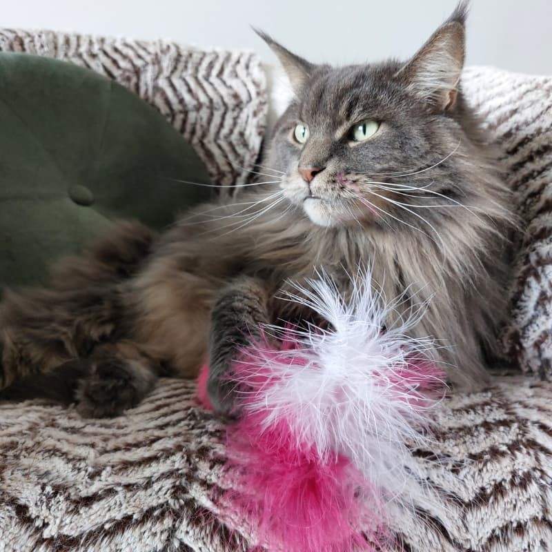 Jouet pour chat naturel en plumes et liège La Gabeline