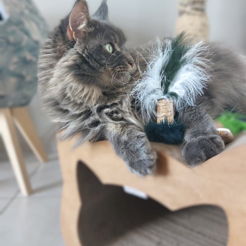 Jouet pour chat naturel en plumes et liège La Gabeline
