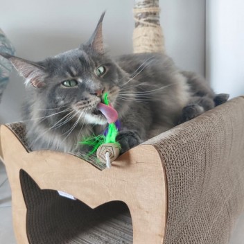 Jouet pour chat  liège et plumes La Gabeline