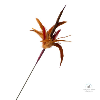 Plumeau pour chat Wild Thing Go Cat