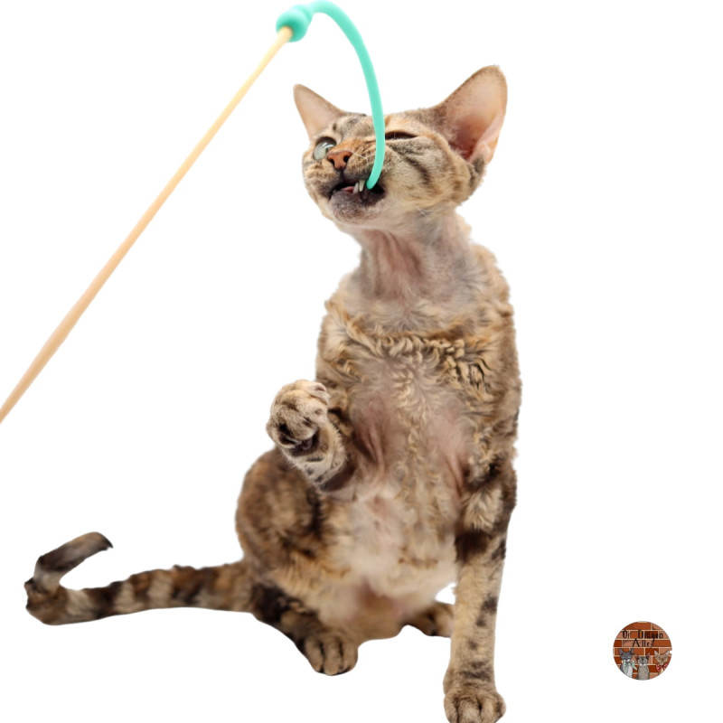 Plumeau pour chat en bois et silicone