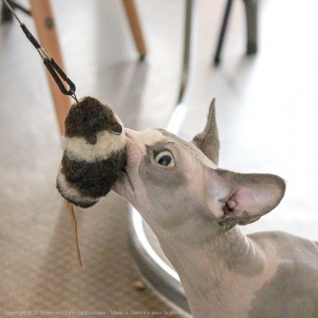 Jouet souris chat - Attache PurrSuit Mouse