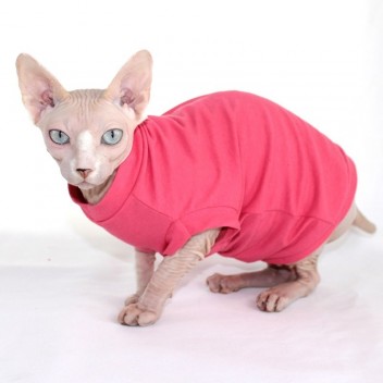 Vetement Pour Chat T Shirt Vneck Corail Pour Chat Et Chaton