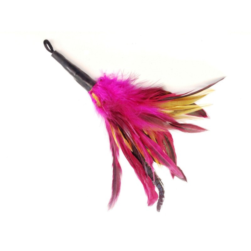 Jouet pour chat - Attache PurrSuit Rooster