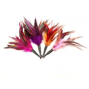 Jouet pour chat - Attache PurrSuit Rooster