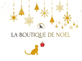La Boutique de Noel Regard Félin La Boutique.jpg